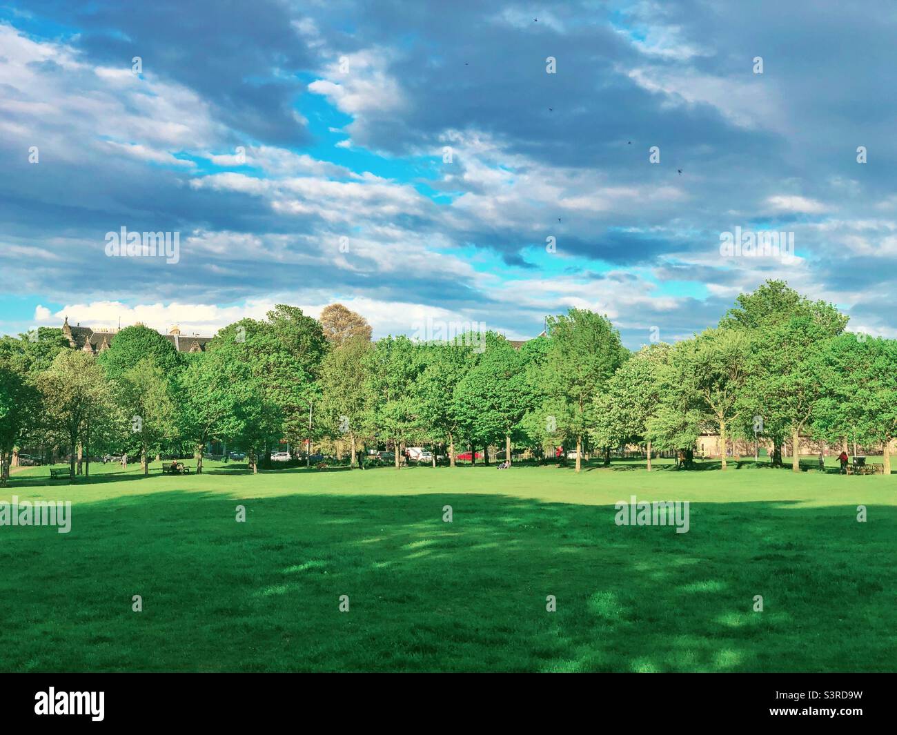 Bruntsfield Links urban park in late afternoon light, Edinburgh