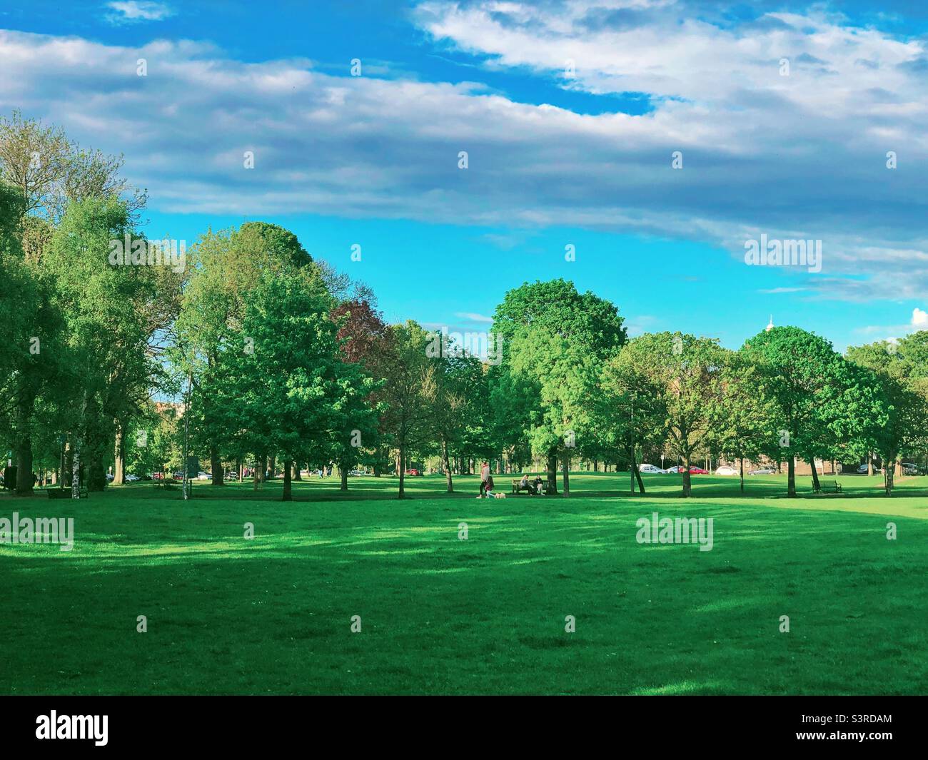 Bruntsfield Links urban park in late afternoon light, Edinburgh