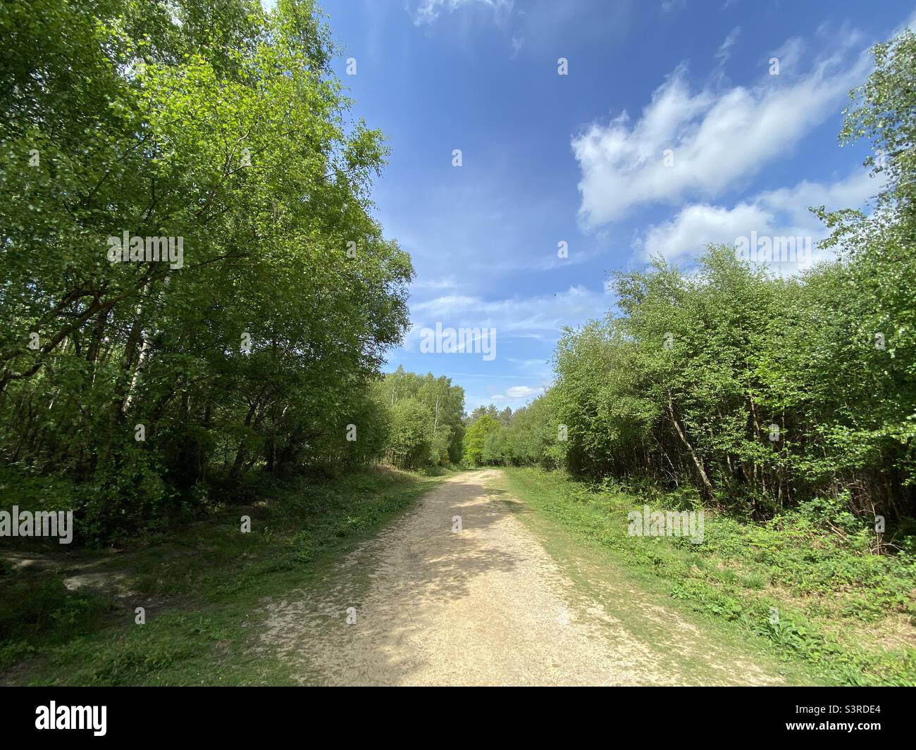 Wander path hi-res stock photography and images - Alamy