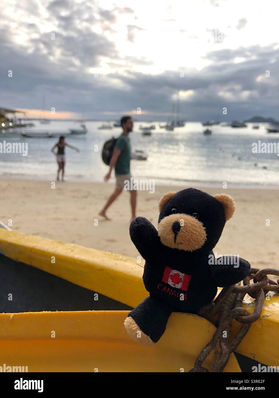 A tiny black teddy bear hanging out at the beach in Brazil. Stock Photo