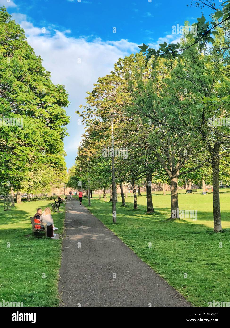 Bruntsfield Links urban park in late afternoon light, Edinburgh