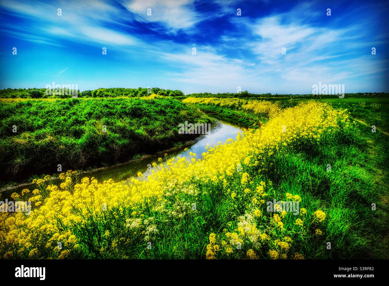 Green Blue Yellow Summer Walk - Smartphone Captured Stock Image