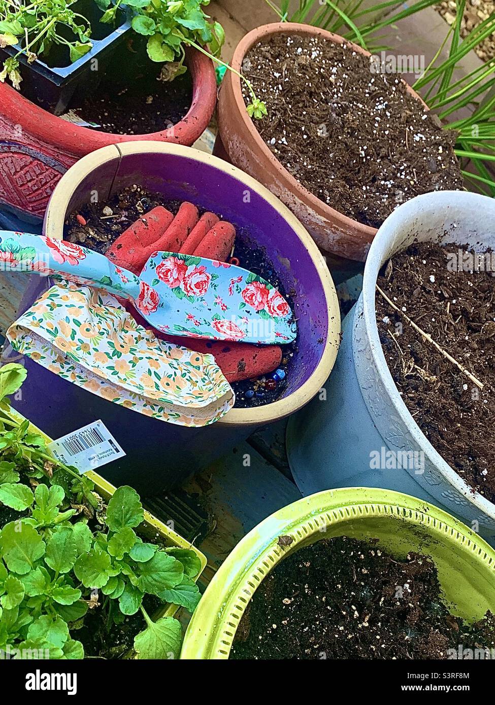 Outside shot of colorful garden pots and plants for gardening - Smartphone Captured Stock Image