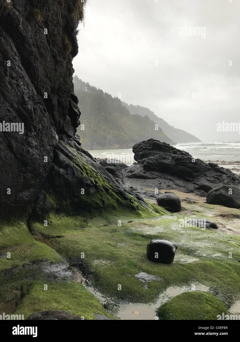 A mossy cave on the Oregon coast, at the Heceta Head Lighthouse State Scenic Viewpoint. Stock Photo