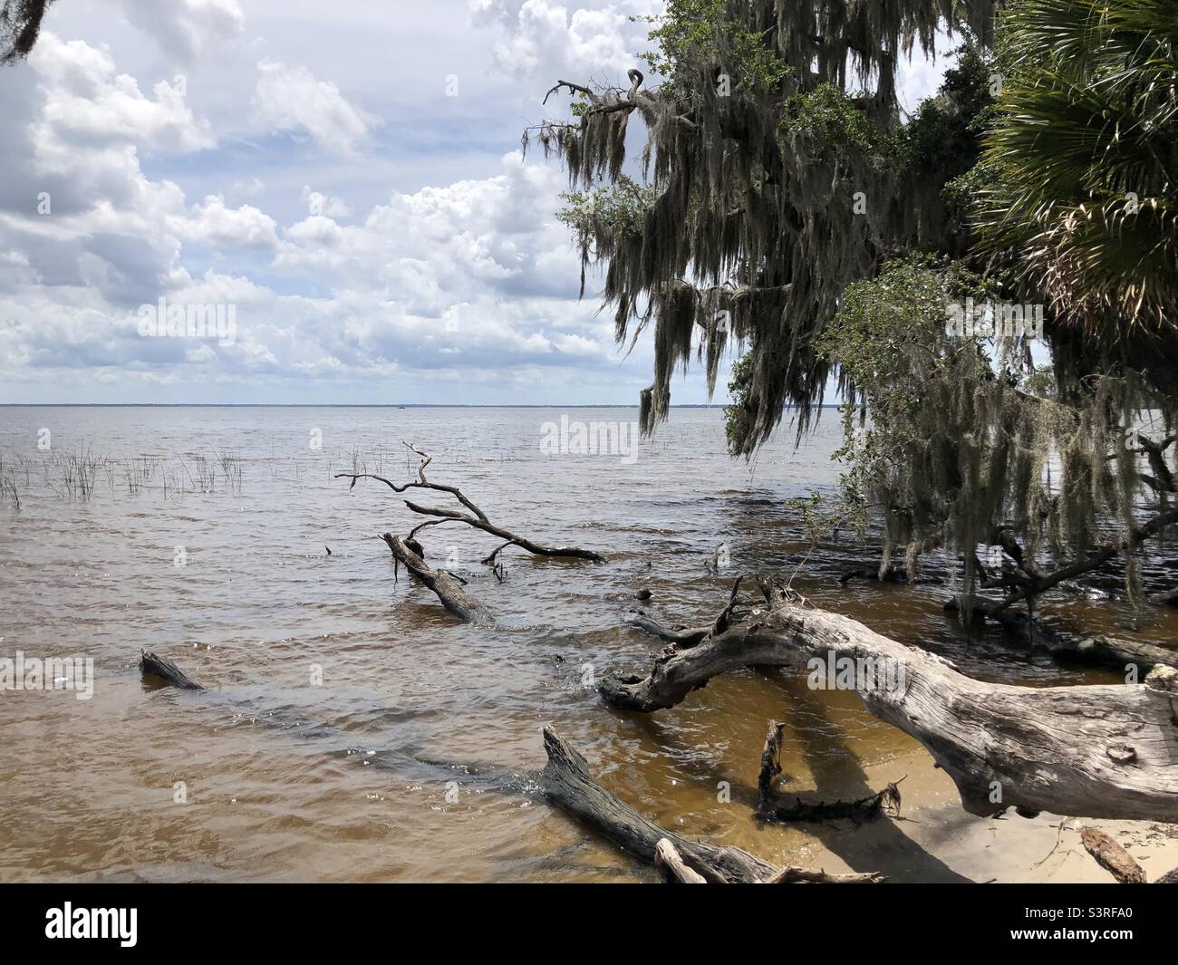 Florida, Lake Stock Photo Alamy