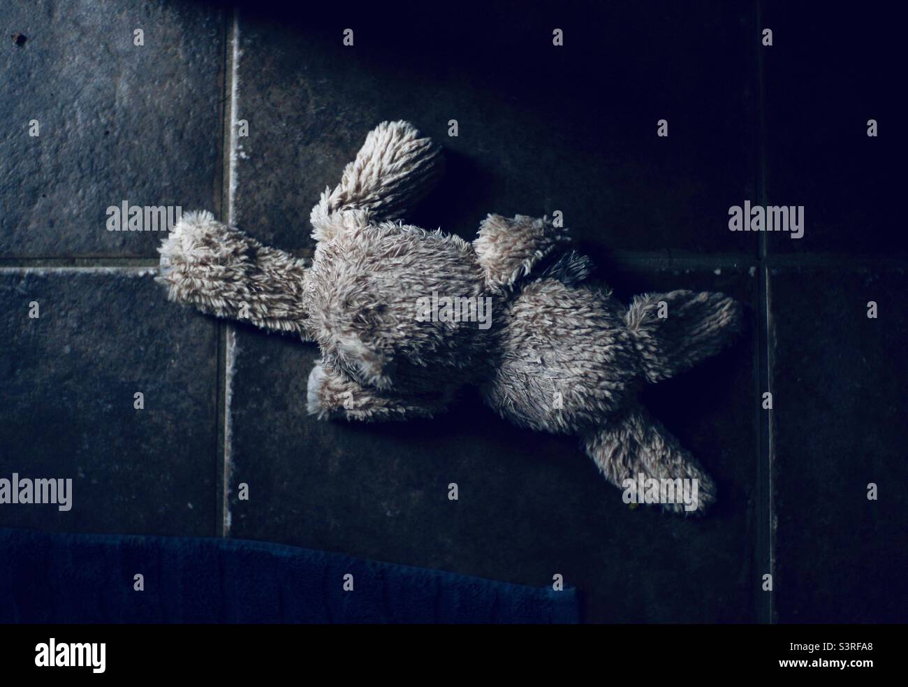 This sad looking puppy chew toy has seen better days. - Smartphone Captured Stock Image