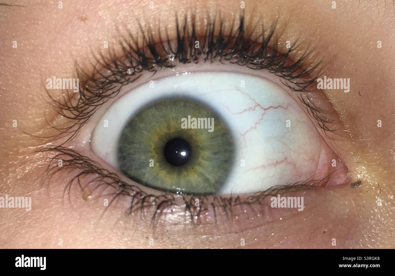Green or Hazel eye Stock Photo Alamy