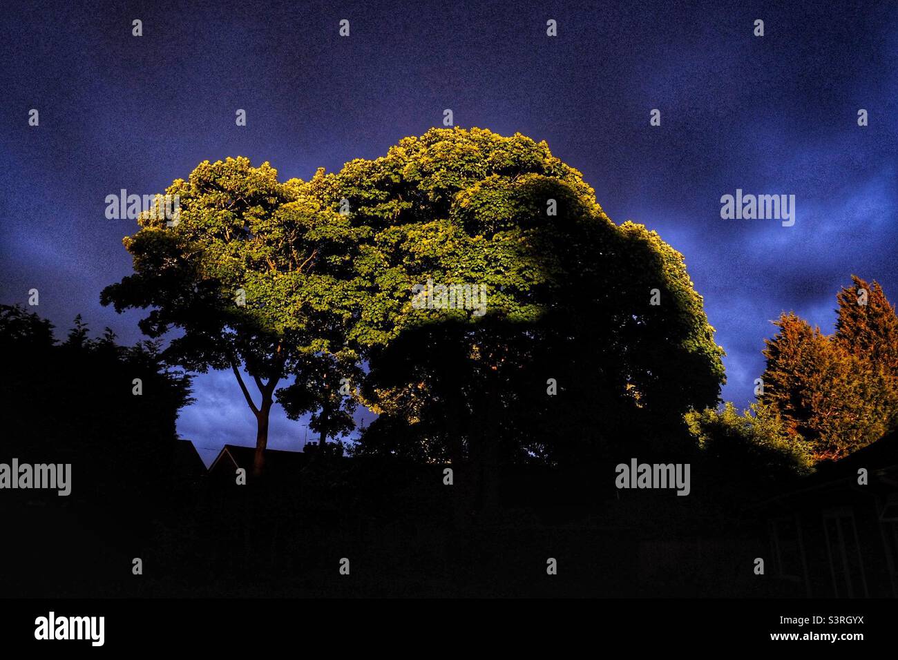 Weird Evening Light - Smartphone Captured Stock Image Weird Evening Light - Smartphone Captured Stock Image