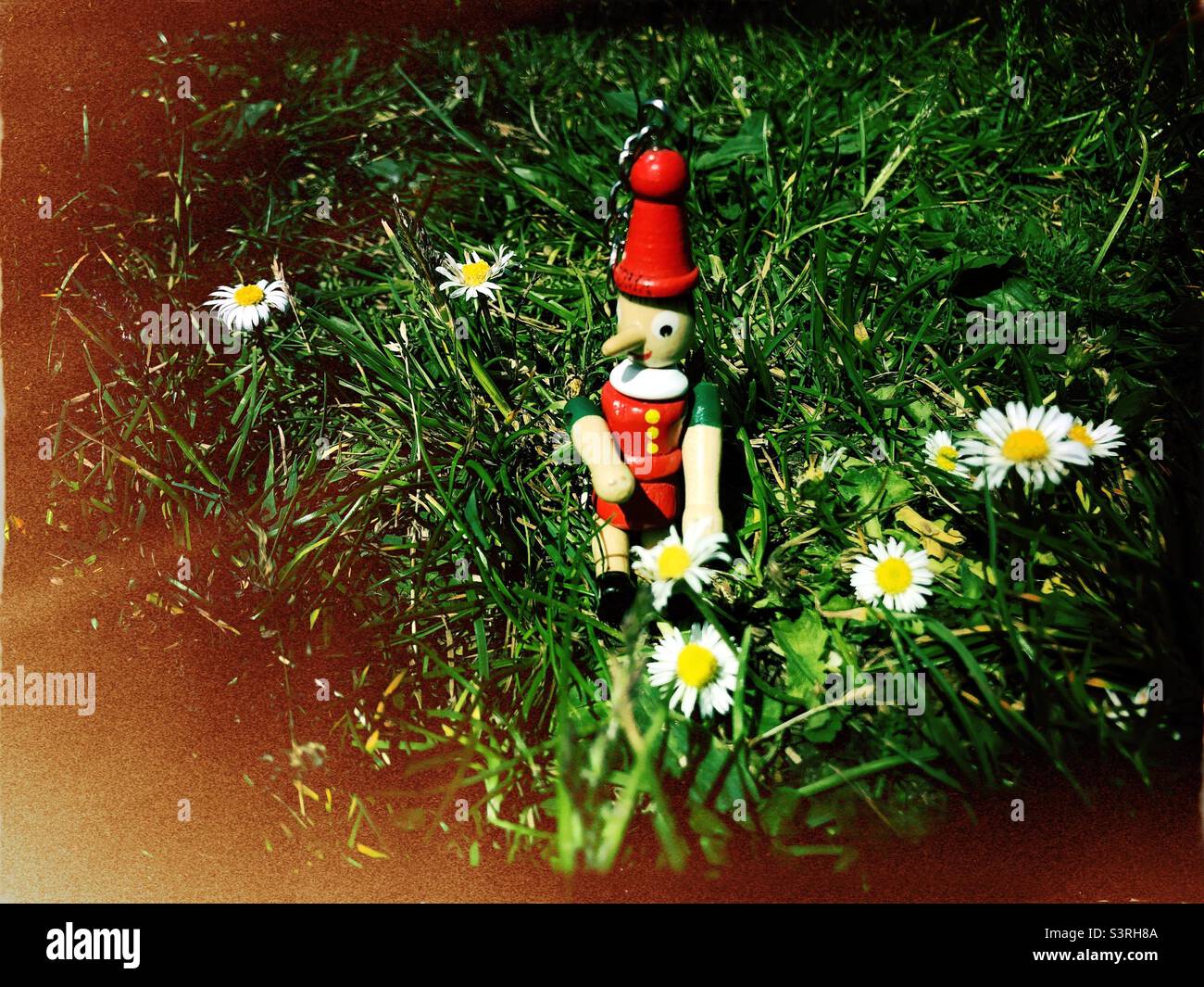 Figurine of Pinocchio siting next to daisies Stock Photo