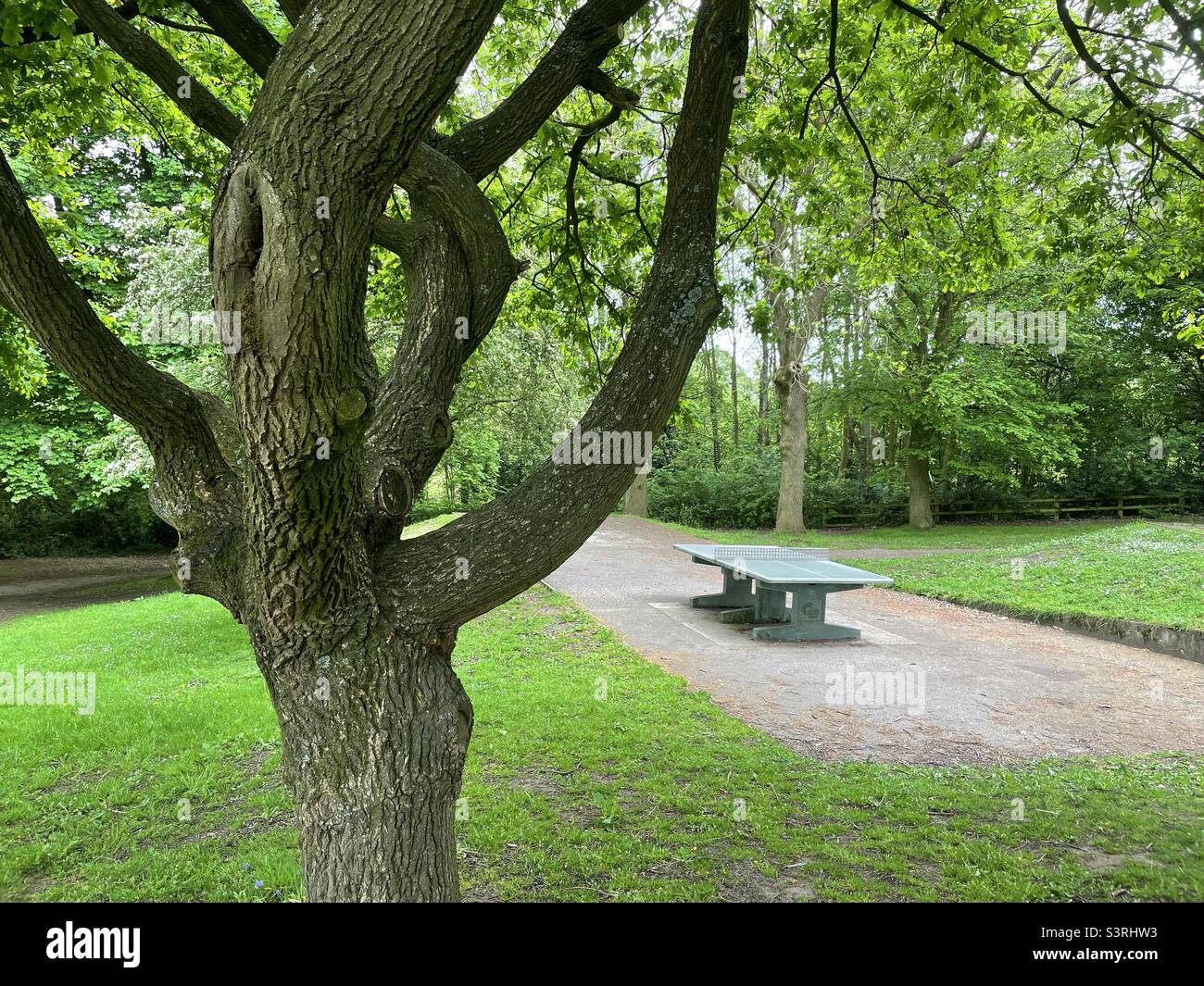 Concrete tennis table in park - Smartphone Captured Stock Image