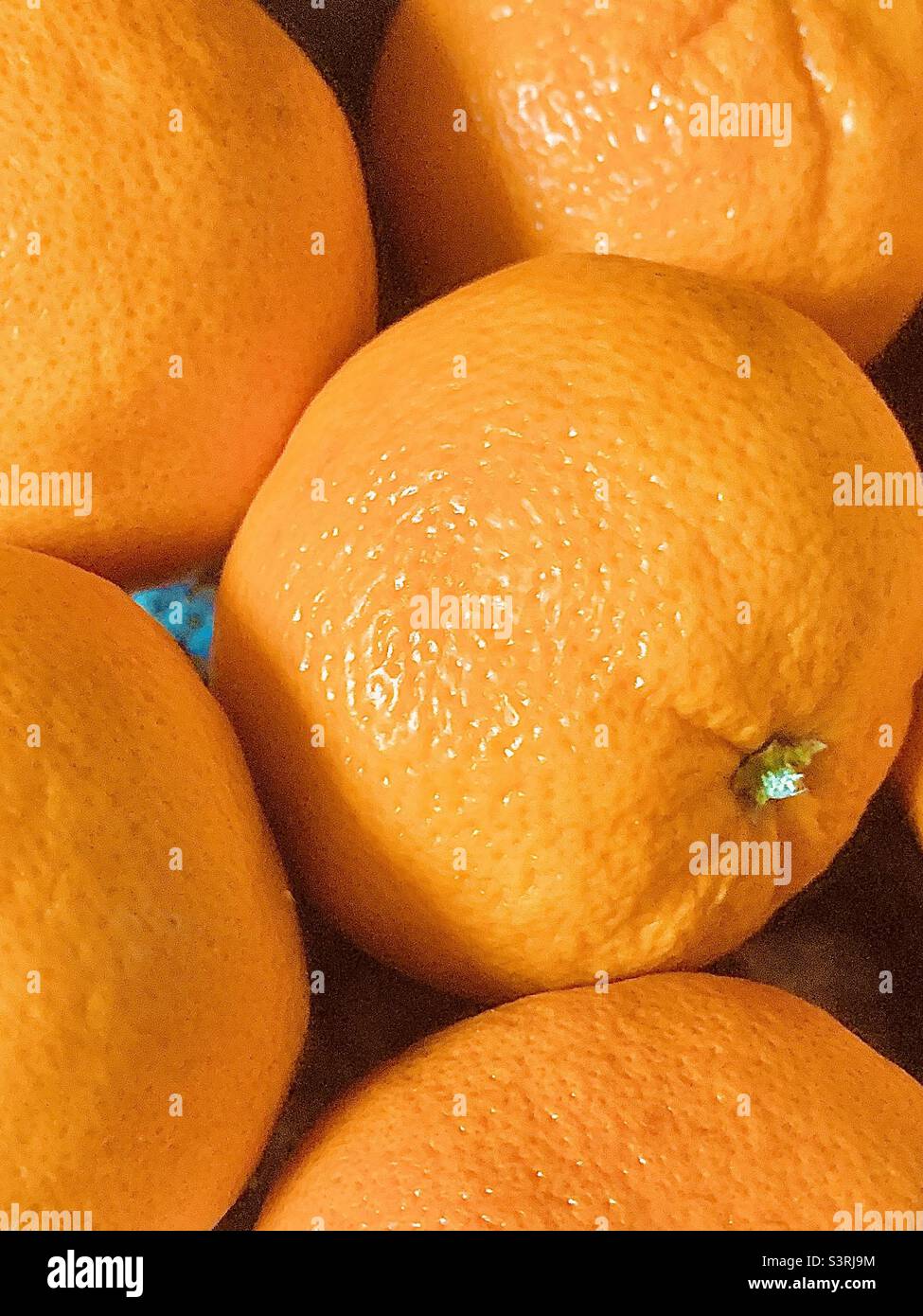 Closeup of five tangerines - Smartphone Captured Stock Image
