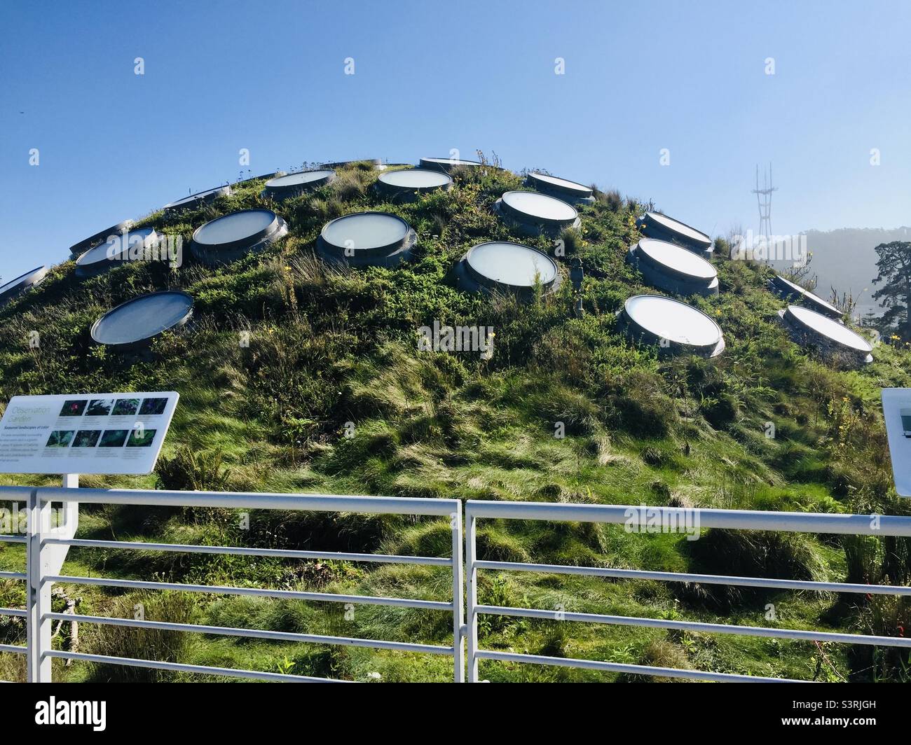 Observation garden on the rooftop of the California Academy of Sciences Stock Photo