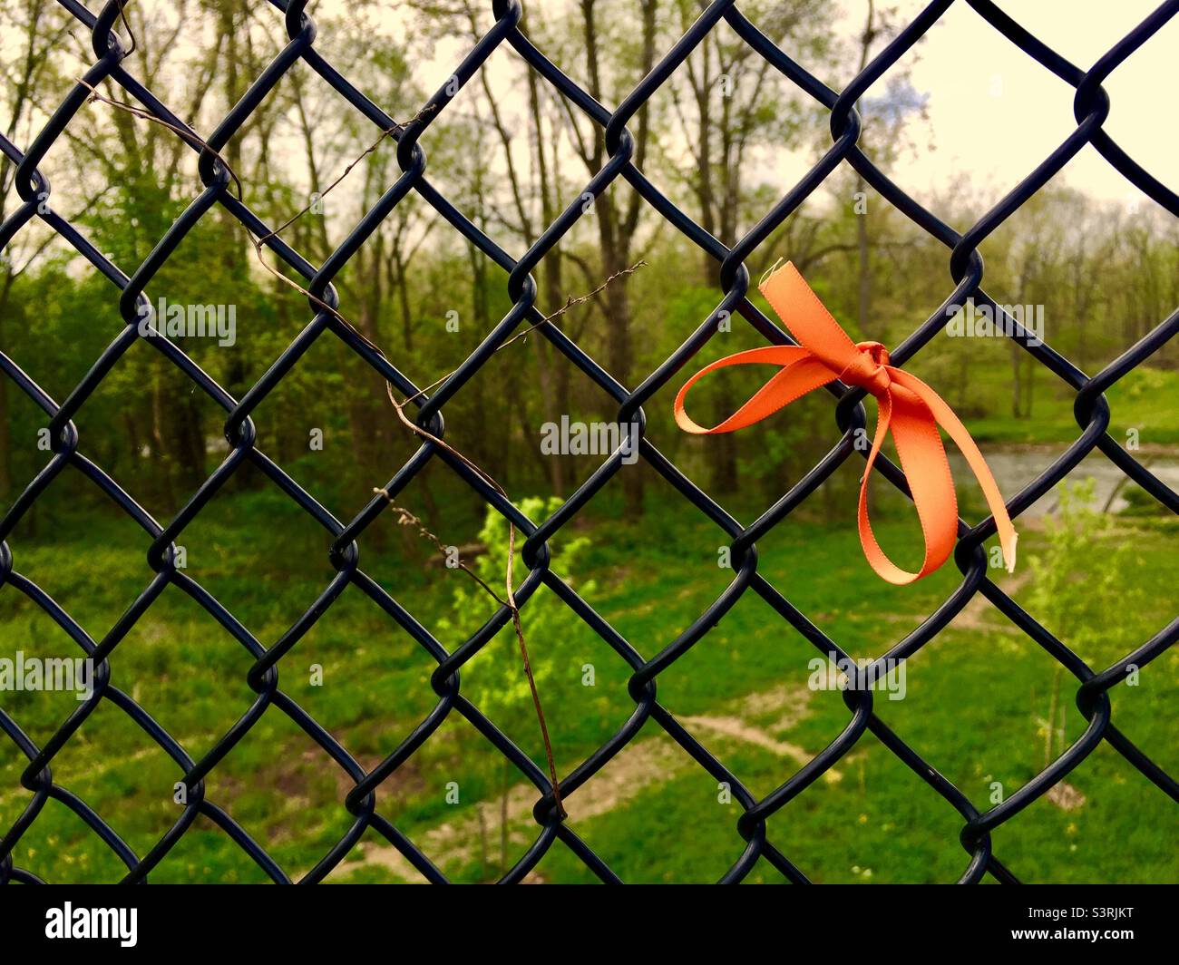 Orange Ribbon on a fence. Remembering someone. In memoriam. - Smartphone Captured Stock Image