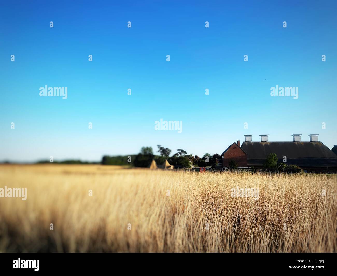 Snape Maltings concert hall Suffolk England - Smartphone Captured Stock Image