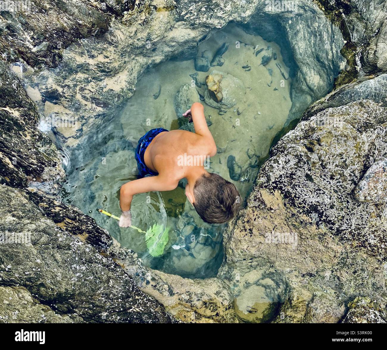 Boy rock pooling in oyster shaped hole Stock Photo