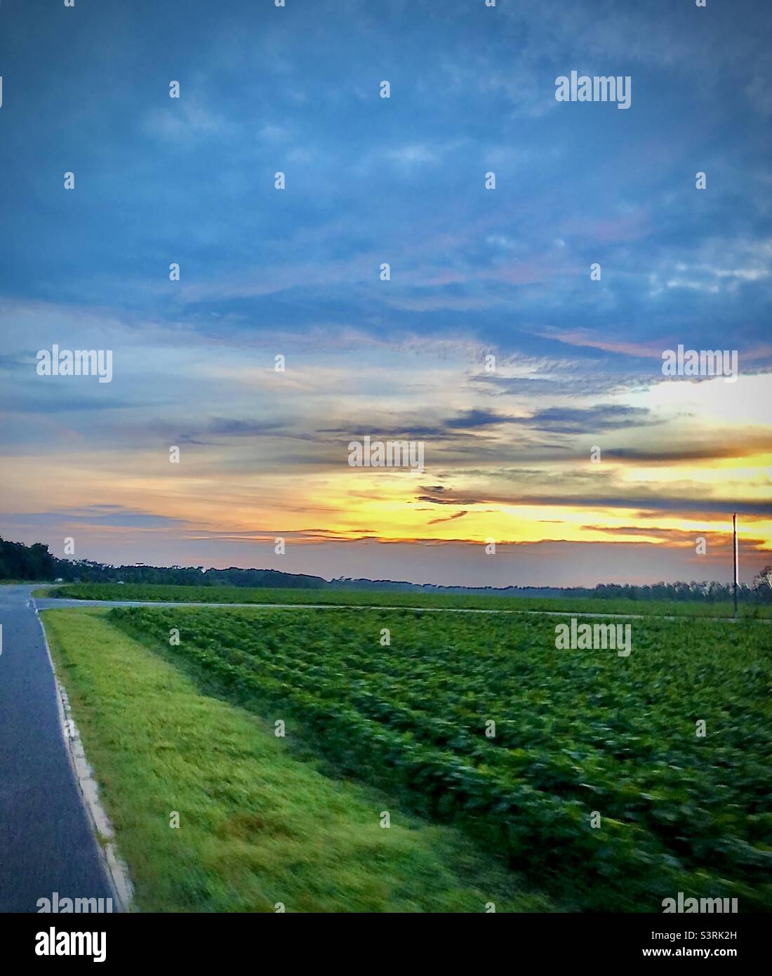 Cruising on backroads and watching the sun go down in Darlington, SC USA. Simply South Carolina - Smartphone Captured Stock Image