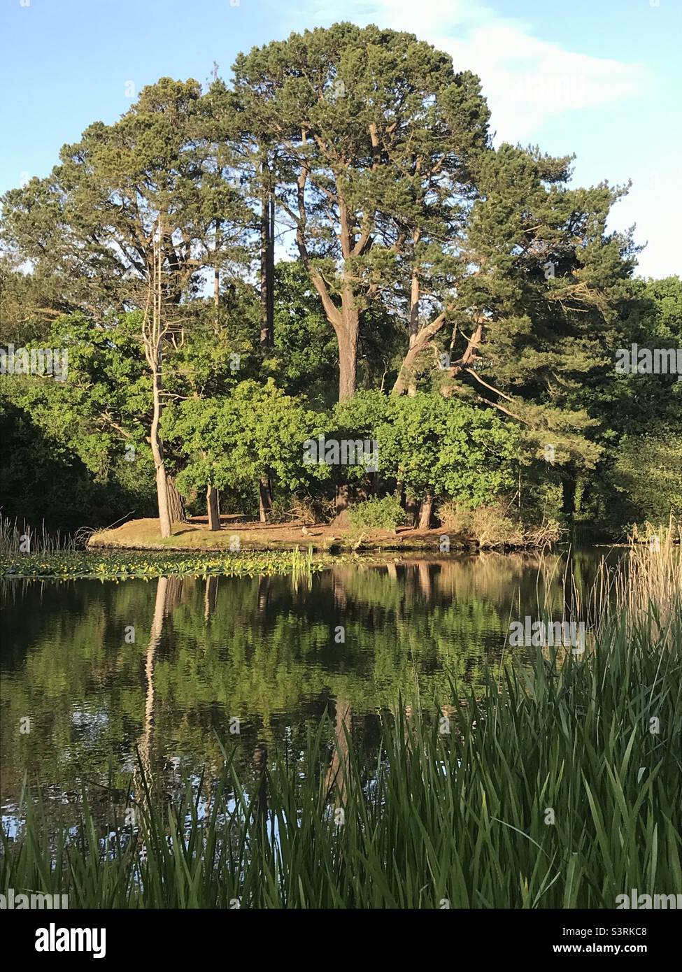 Fishing lake Southampton common Stock Photo Alamy