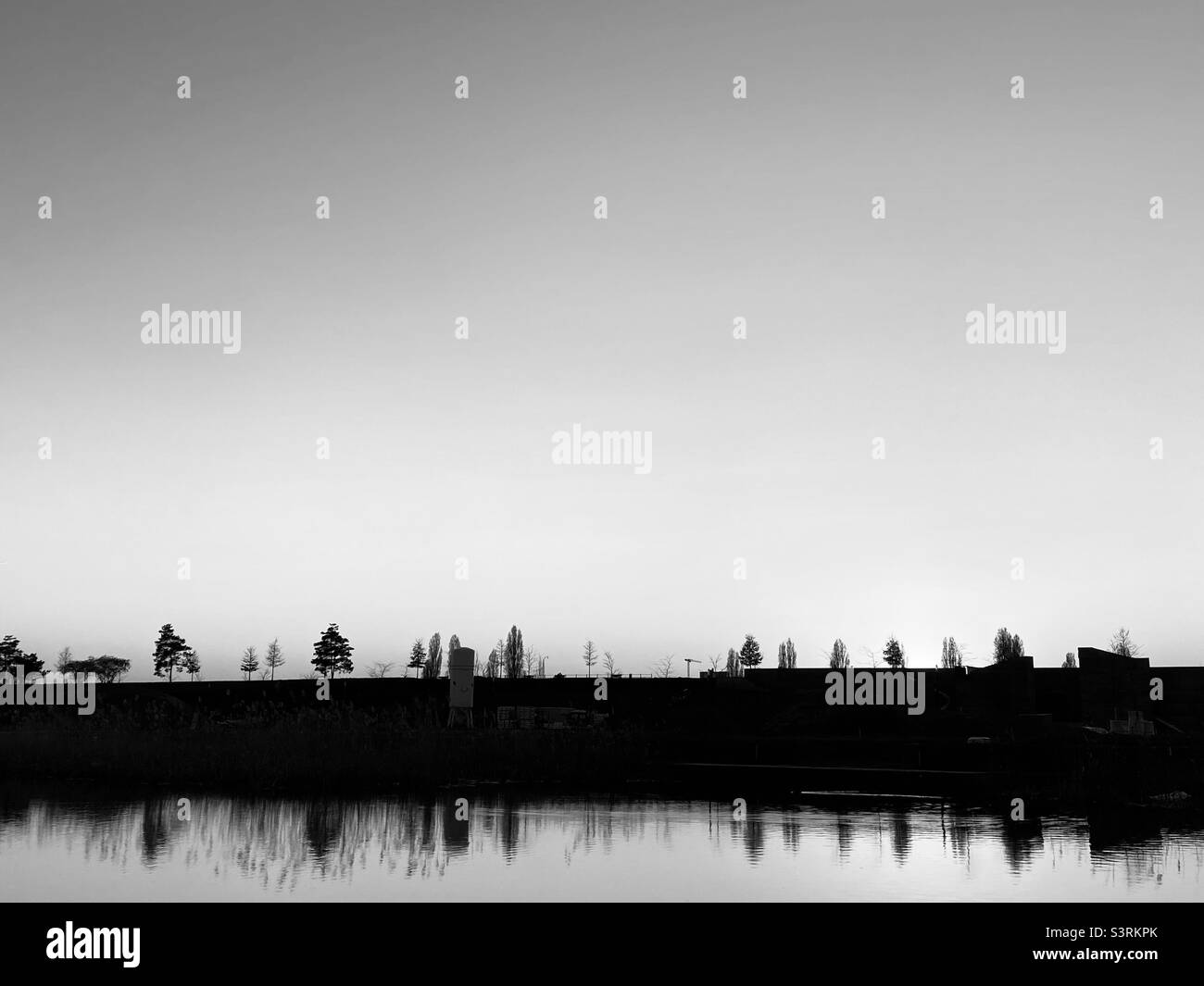 Black and white trees hi-res stock photography and images - Alamy
