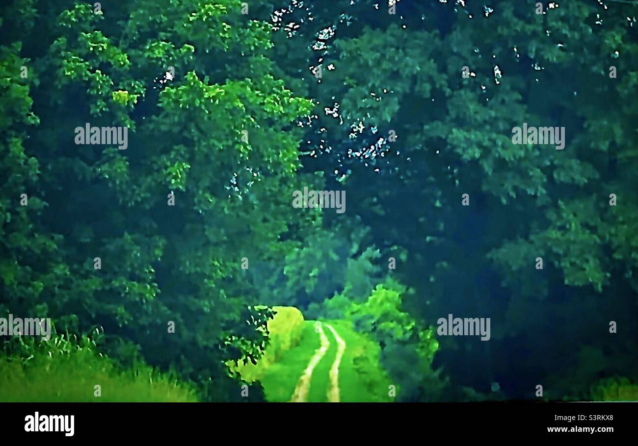 Path leads through tunnel hi-res stock photography and images - Alamy