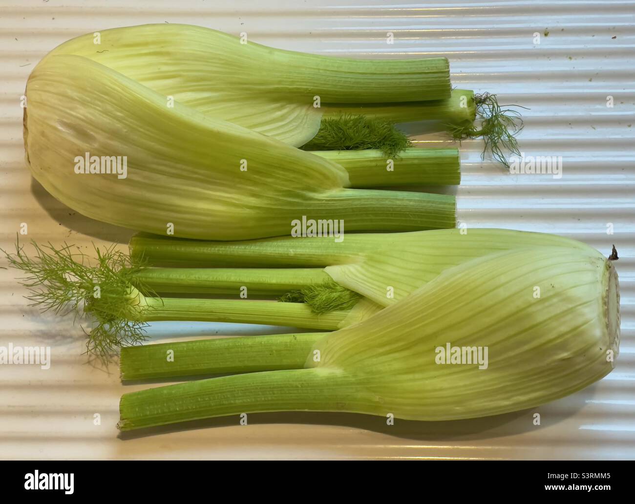 Two bulbs of fennel resting on a ceramic draining board Stock Photo Alamy
