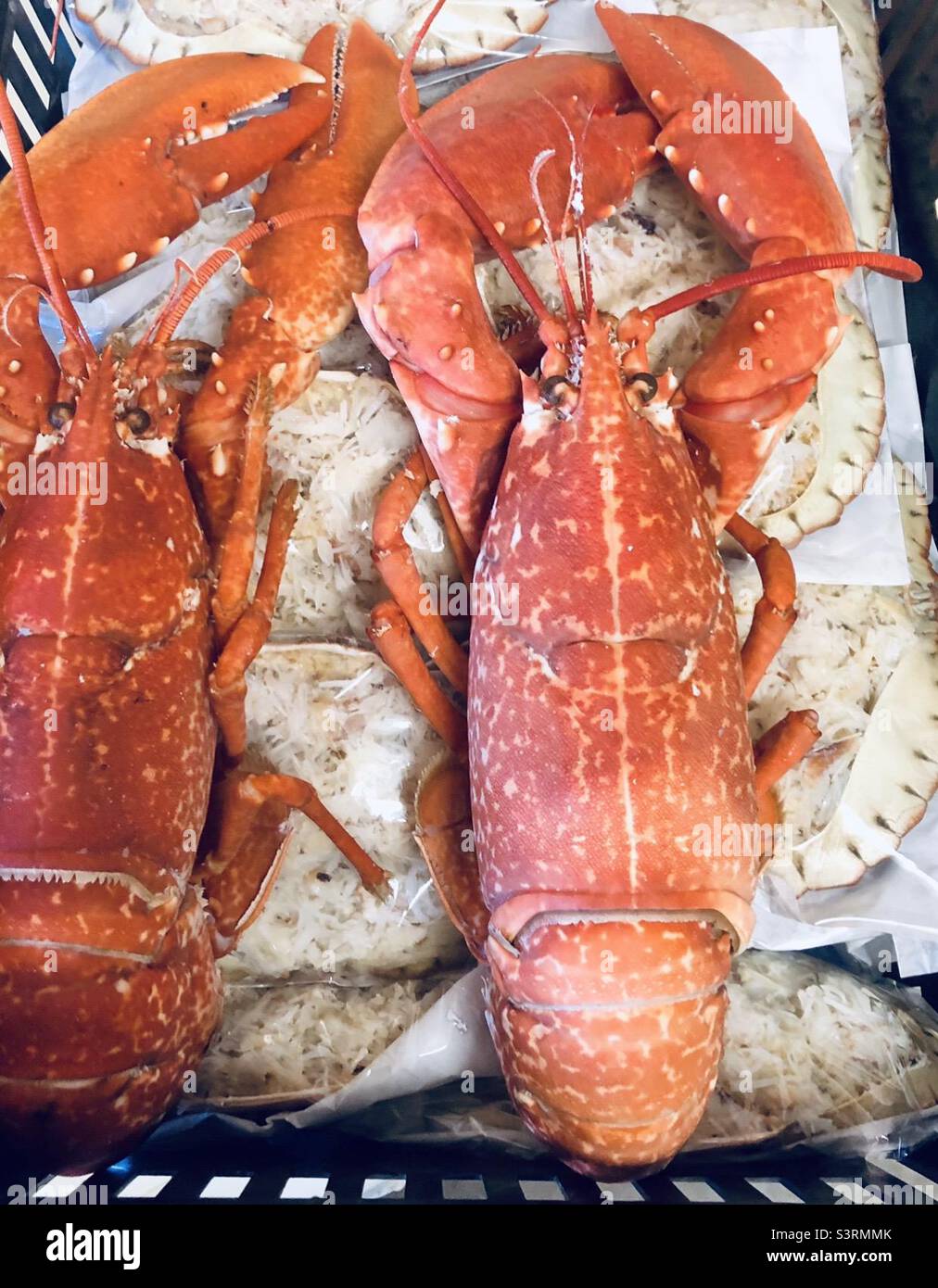 Cooked lobster and dressed crabs ready for market Stock Photo