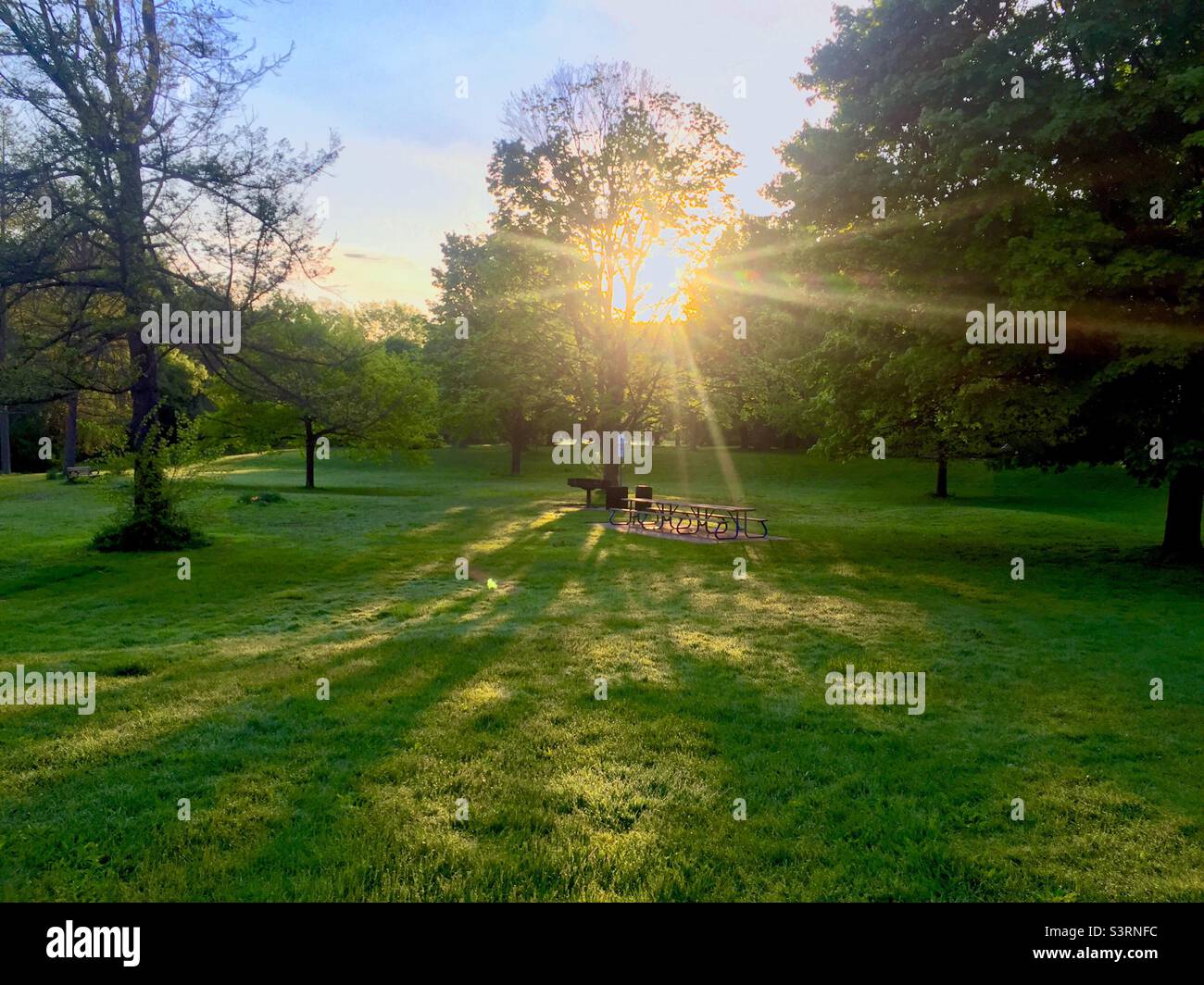 Sunburst over a popular picnic spot in a large urban park, Ontario, Canada. Daybreak. Here comes the sun. - Smartphone Captured Stock Image