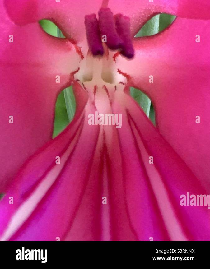 Abstract green flower hi-res stock photography and images - Alamy