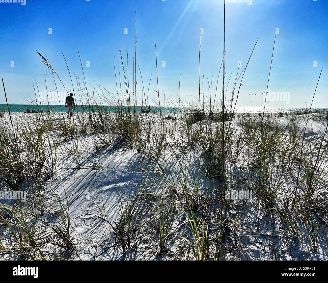 Looking through the grass on Sand Dunes towards Bean Point Beach on Anna Maria Island in Florida - Smartphone Captured Stock Image