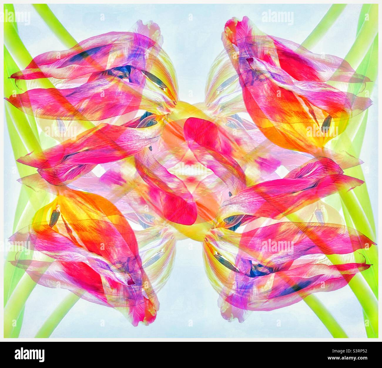 Strange flowers - Smartphone Captured Stock Image