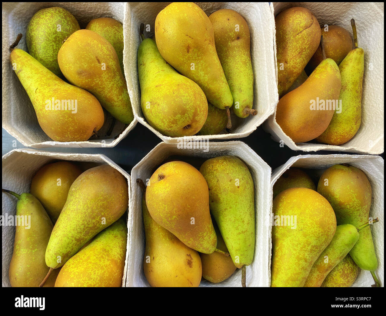 A collection of punnets containing fresh and juicy Conference Pears. These fruits are normally harvested during October in the northern hemisphere. Photo ©️ COLIN HOSKINS. Stock Photo
