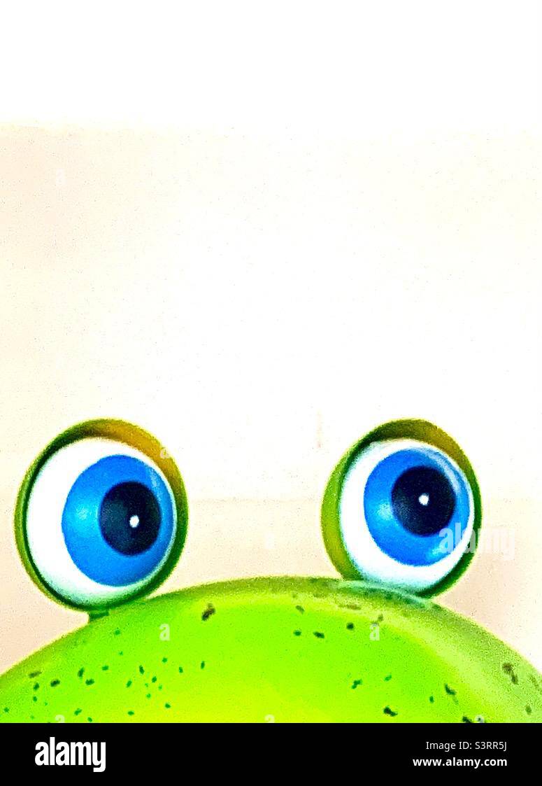 Bright blue and green frog eyes at the bottom of frame, above is white negative space - Smartphone Captured Stock Image