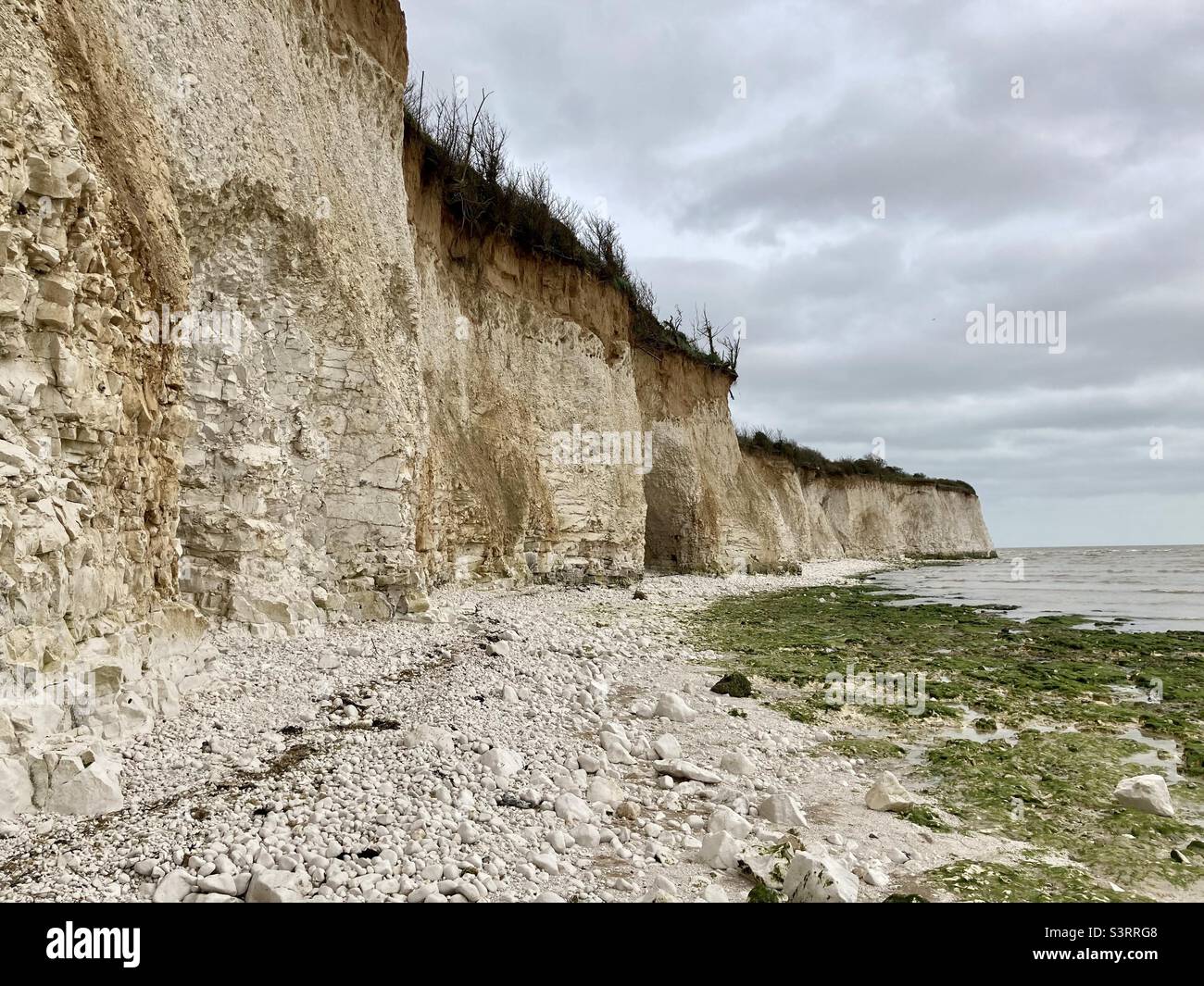 Chalk cliffs on the coast - Pegwell bay , Kent - Smartphone Captured Stock Image
