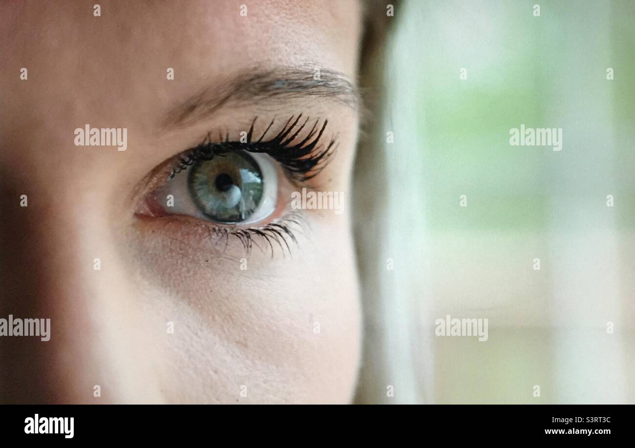 Eye shot, head shot, beautiful woman, eyeball, iris, pupil, eyelash, eyebrow , close up - Smartphone Captured Stock Image