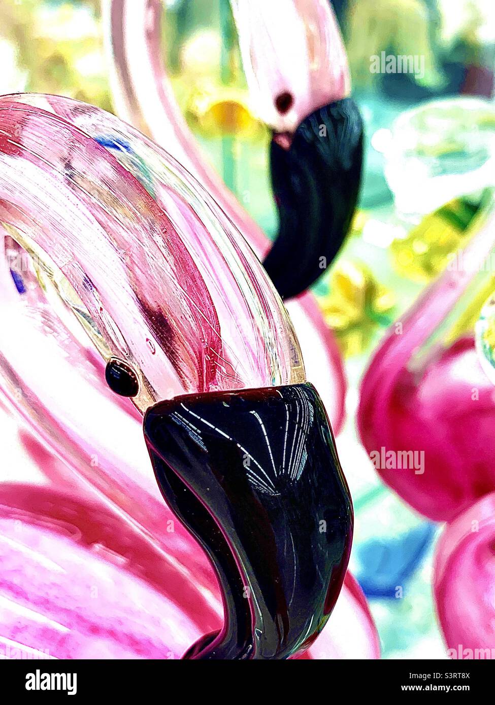 Bright, vibrant, depth of field composition. Features 3 glossy pink flamingos - Smartphone Captured Stock Image