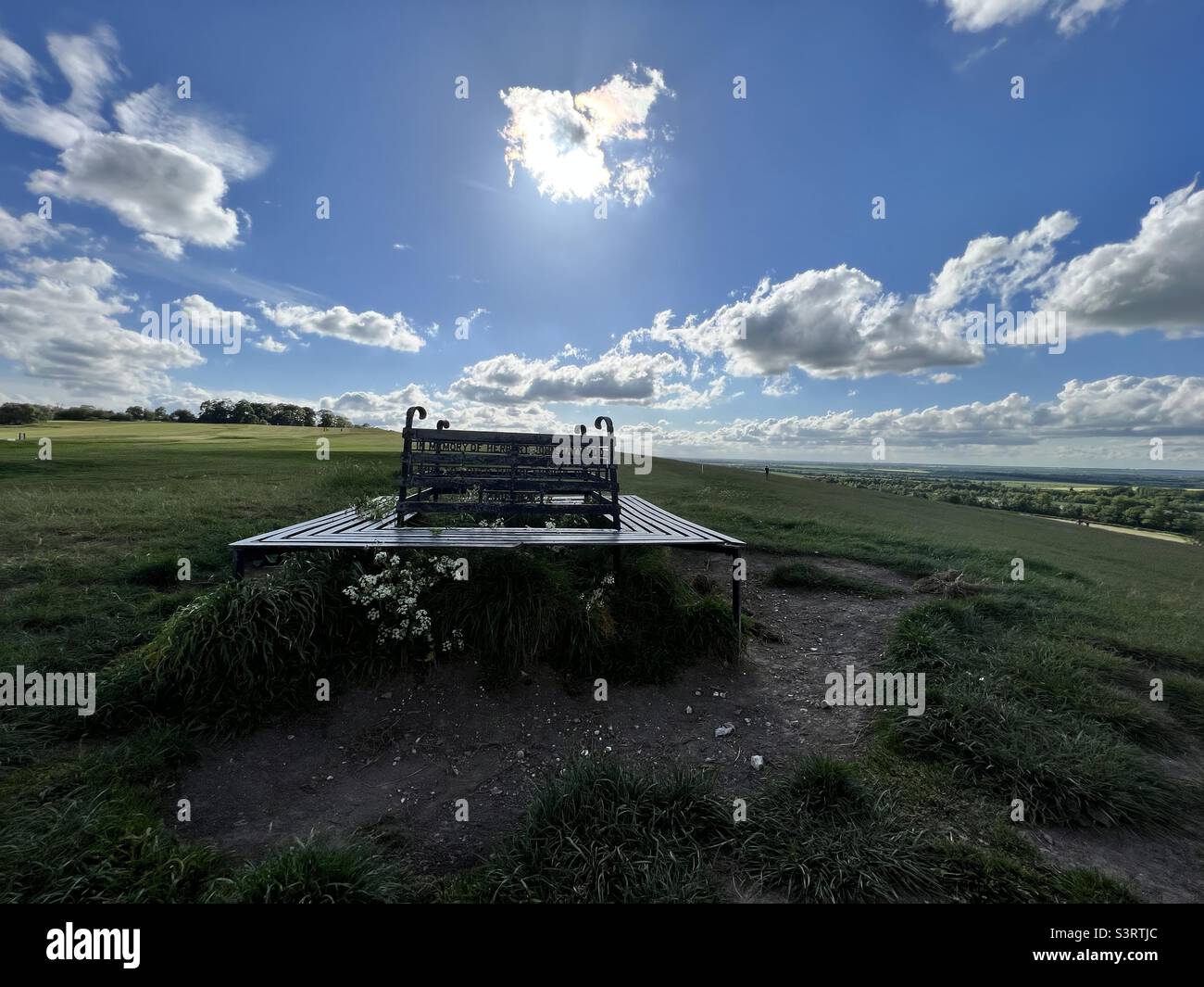 Therfield/Royston Heath - countryside bench - sunny/windy day Stock Photo