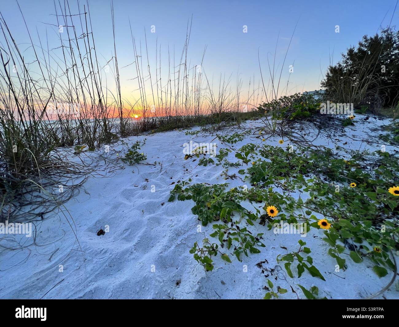 Sunset on Anna Maria Island Stock Photo - Alamy