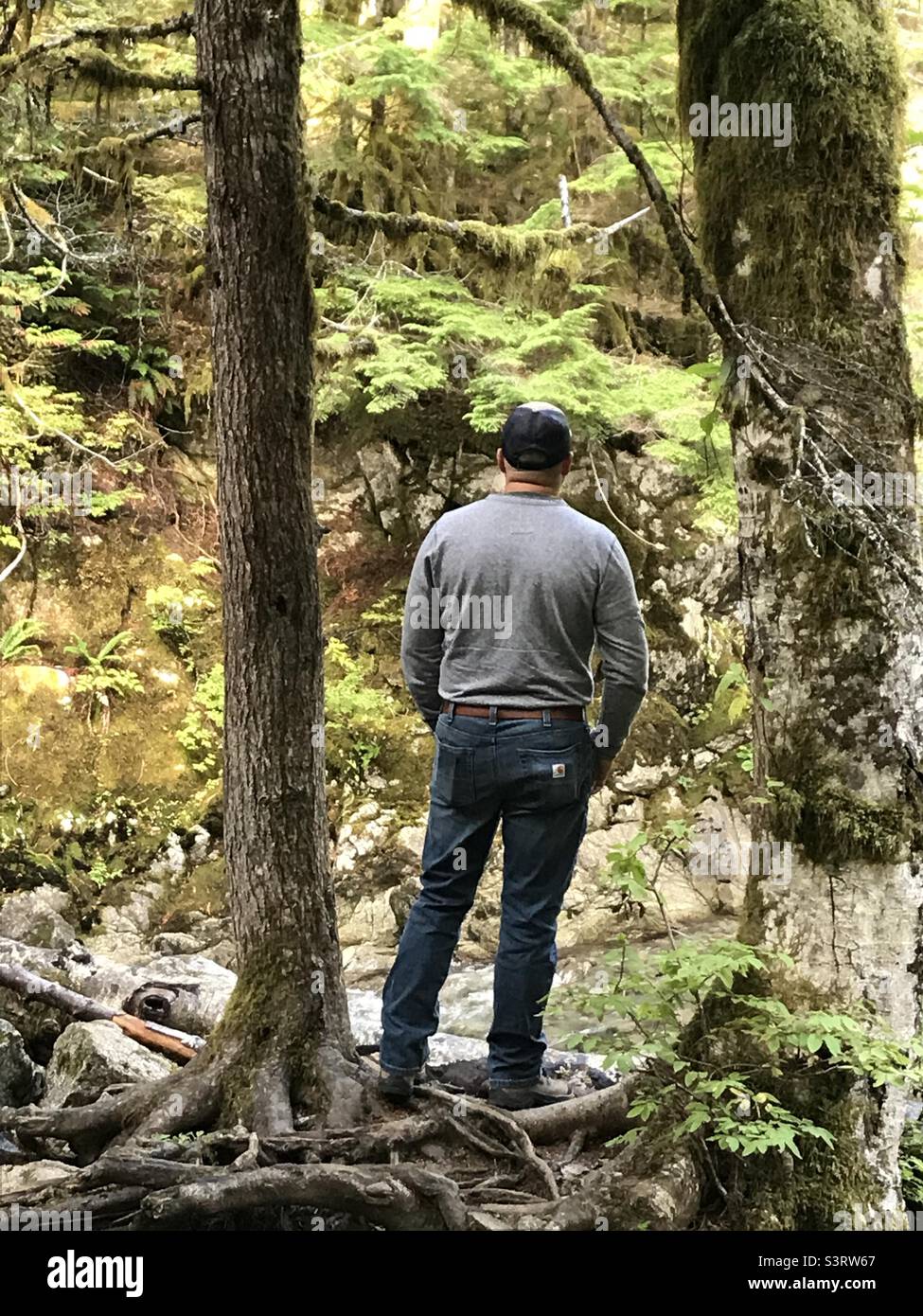 Pondering thoughts while looking into the forest Stock Photo