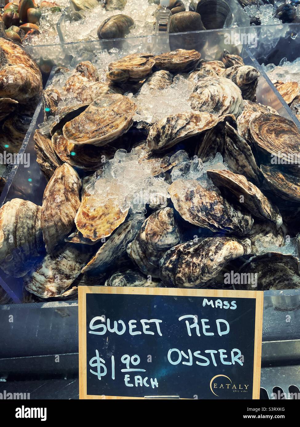 Close up of sweet red oysters in the shell for sale at a fish market, 2022, New York City, USA - Smartphone Captured Stock Image