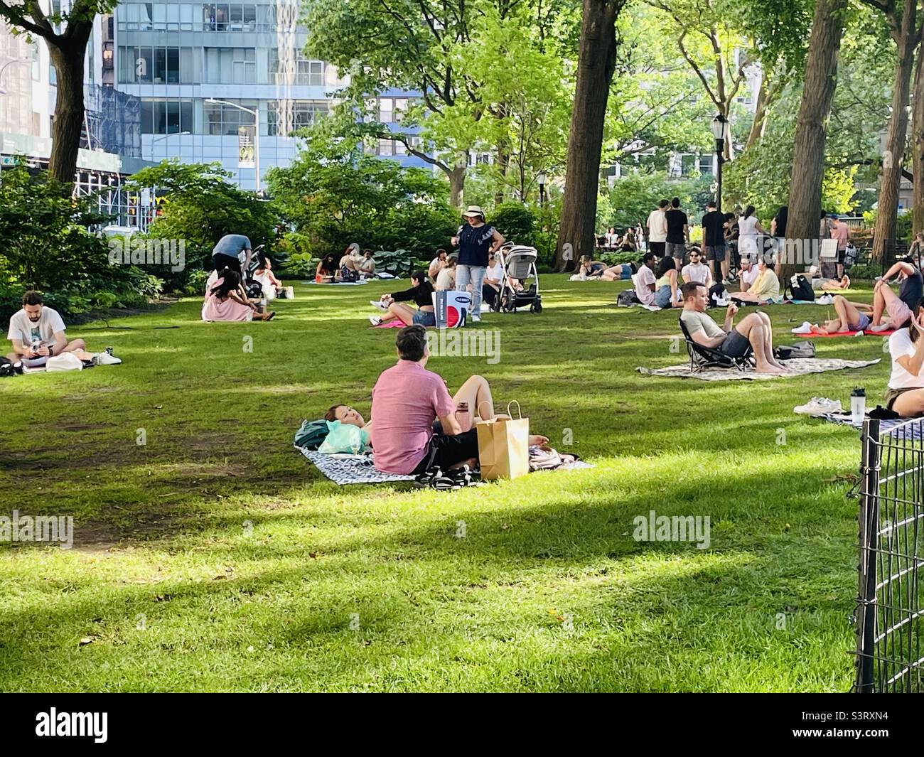 People sitting on the grass in Madison Square Park, New York City, USA - Smartphone Captured Stock Image