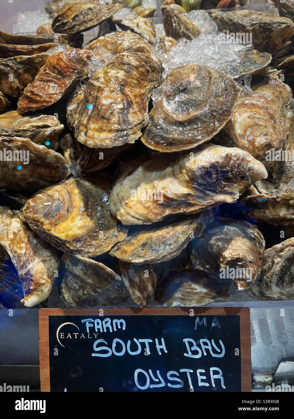 South Bay oysters for sale at the Italian Food Hall Eataly 2022, New