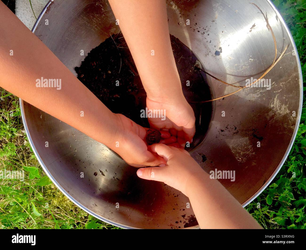 Mine. Two toddlers claim the toad just trapped in the bowl. Everyday rivalry. Playful. Me first. Hands on nature. - Smartphone Captured Stock Image