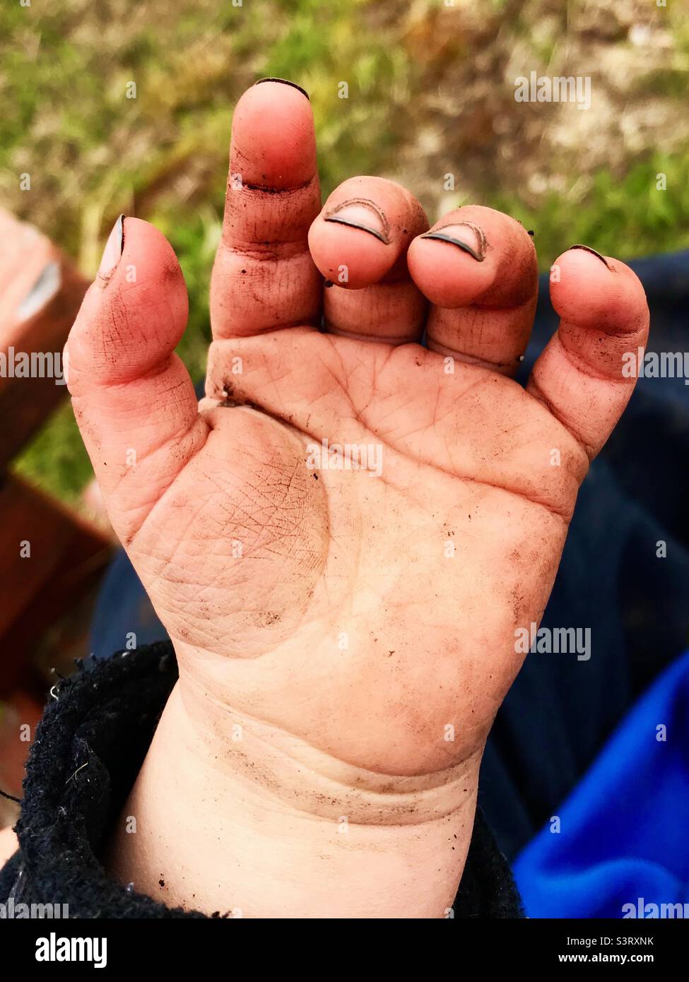 Closeup of a toddler’s hand, after serious gardening, down and dirty. Honest day’s work.  Symbol, icon - Smartphone Captured Stock Image