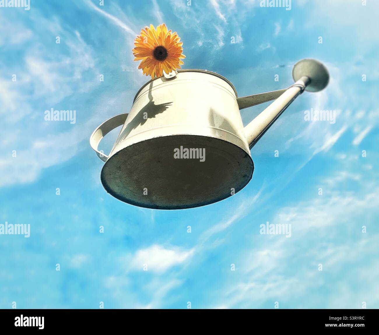 Watering can - Smartphone Captured Stock Image