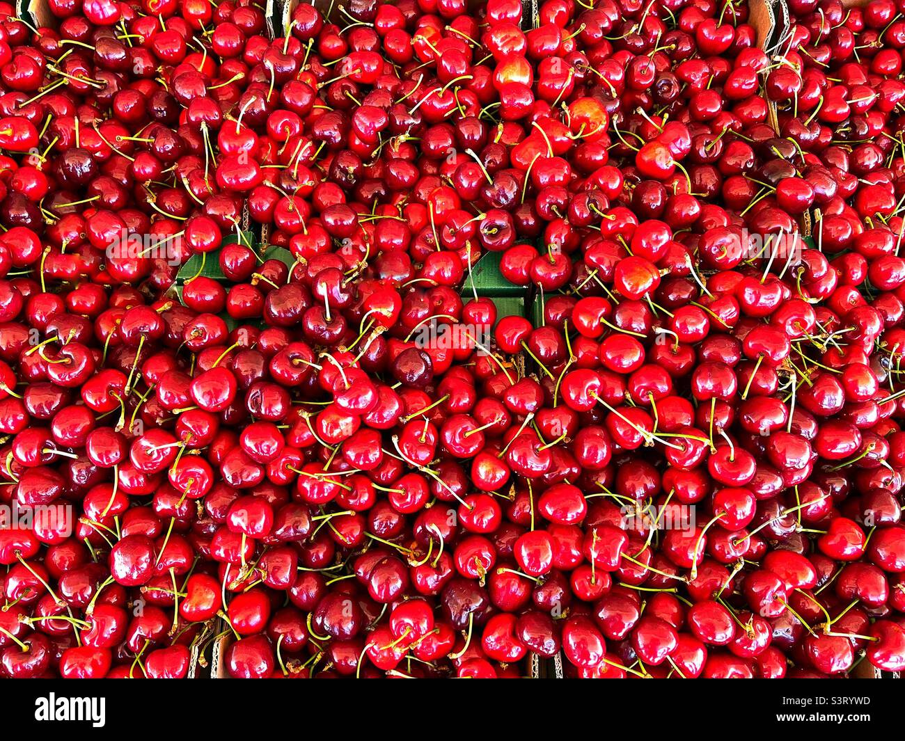 Close up view of a tray of fresh ripe cherries on a market stall. No people. Backgrounds. - Smartphone Captured Stock Image