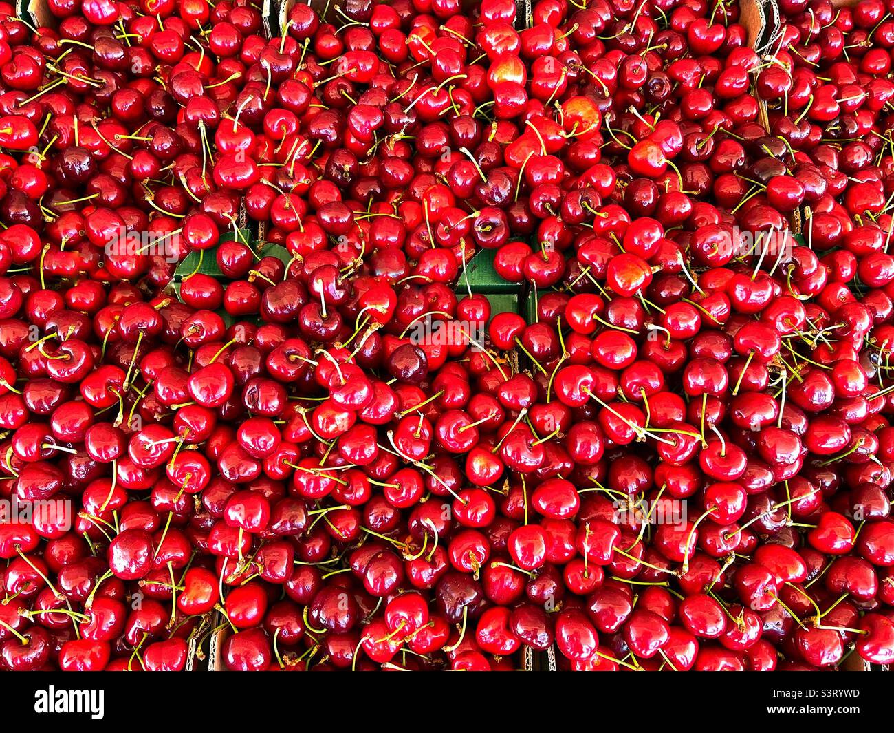 Close up view of a tray of fresh ripe cherries on a market stall. No people. Backgrounds. Stock Photo
