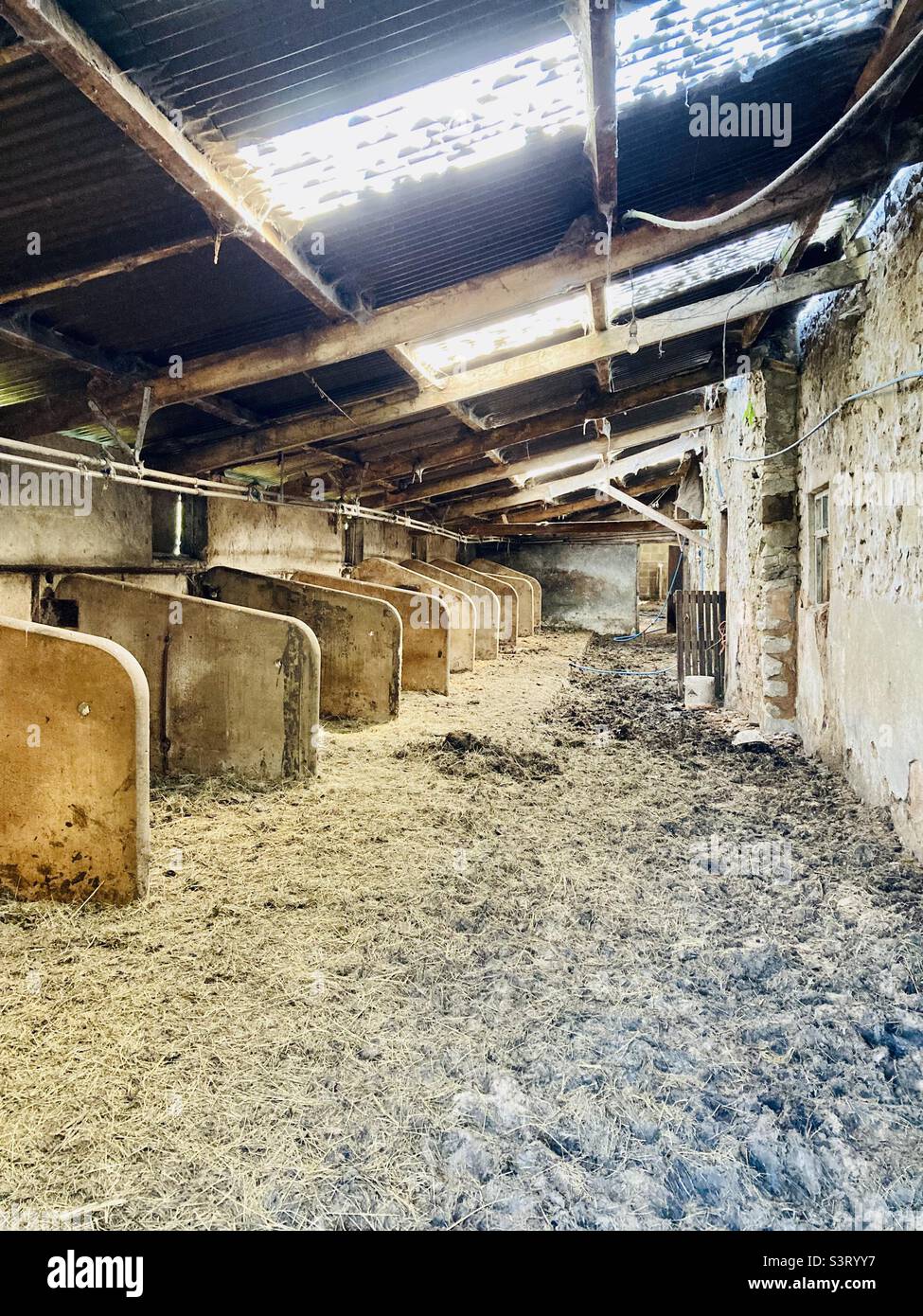 Cow stalls in a derelict farm barn building in the Peak District - Smartphone Captured Stock Image