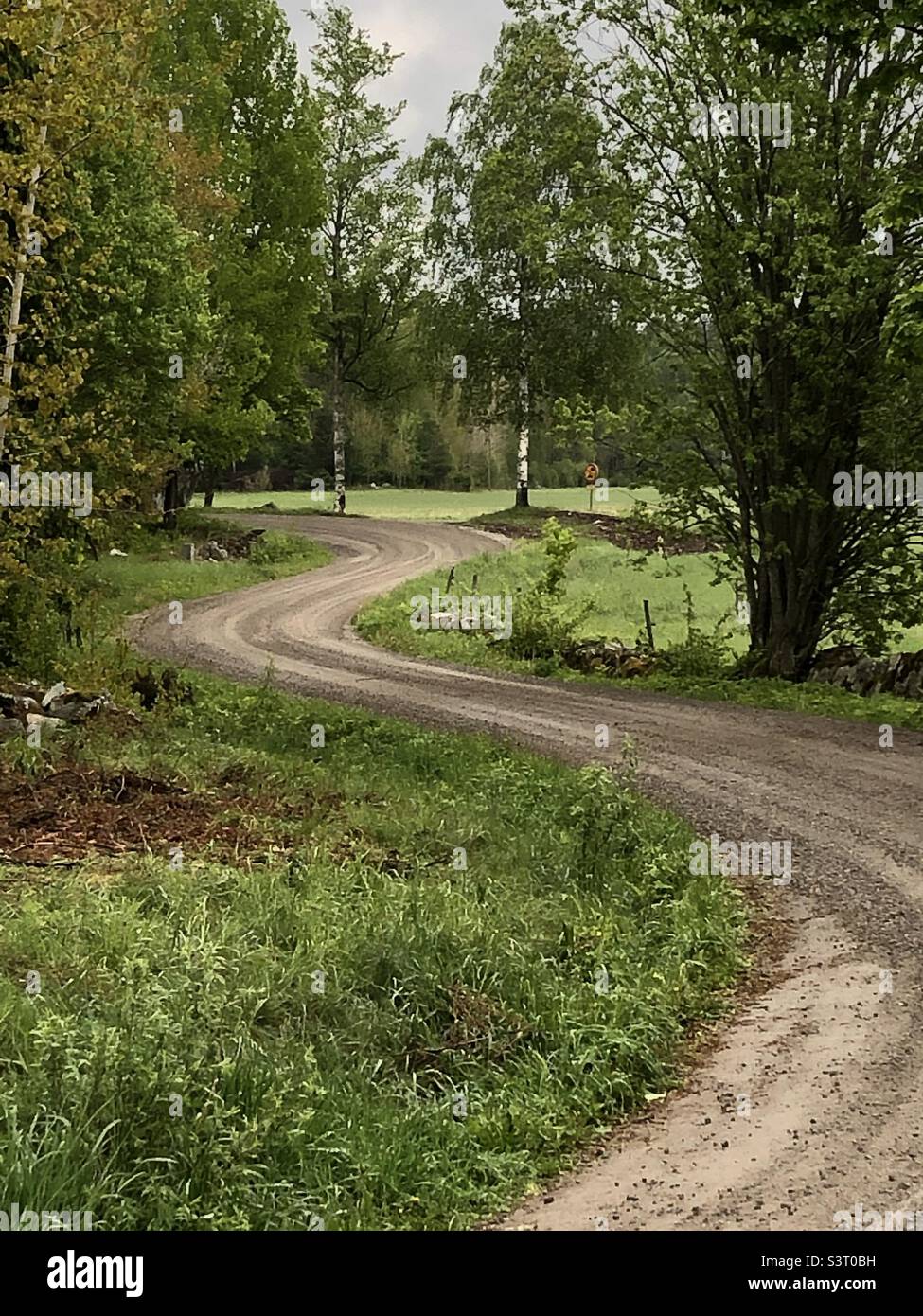 Winding gravel road in May, spring time, Sweden. - Smartphone Captured Stock Image