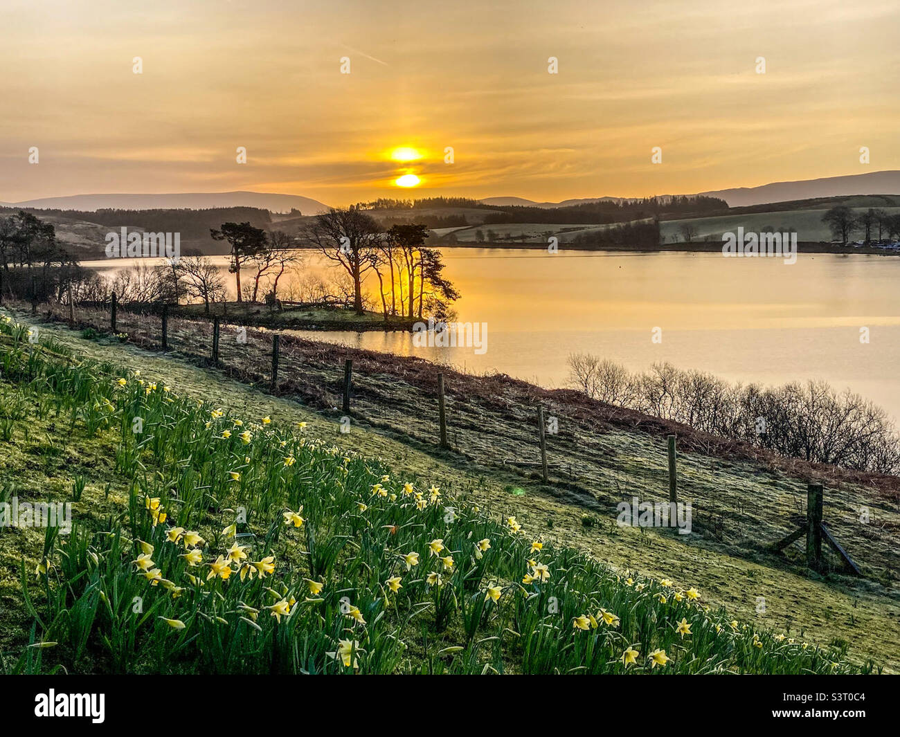 Sunrise at Killington Reservoir (M6 services) on a frosty March morning. - Smartphone Captured Stock Image