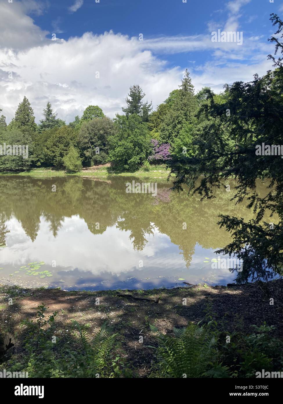 Whitley Court Gardens Stock Photo Alamy