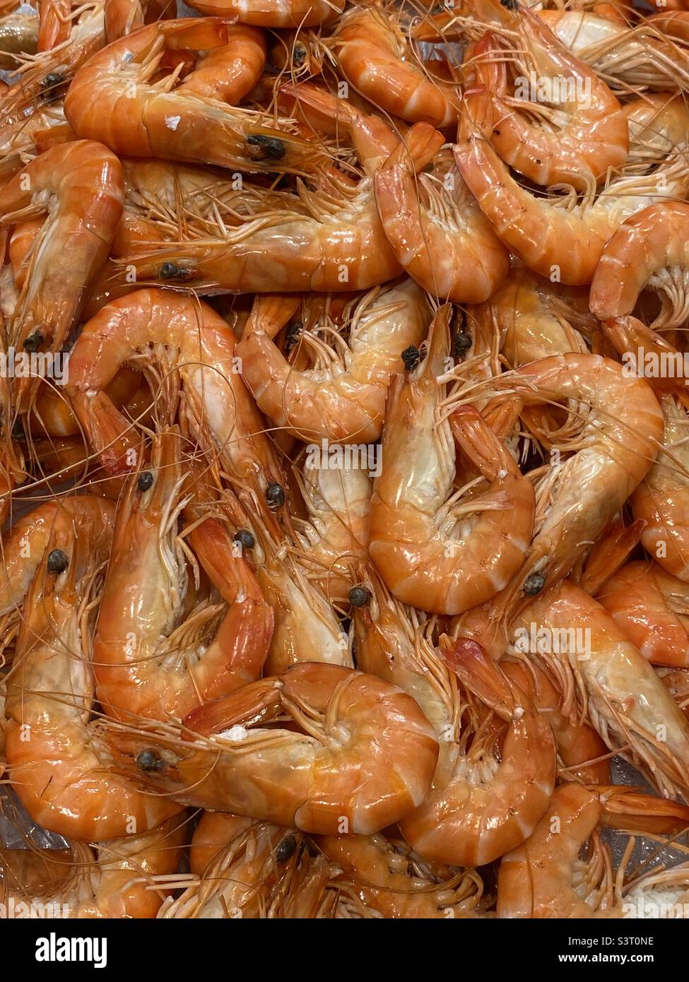 Prawn Mess Stock Photo